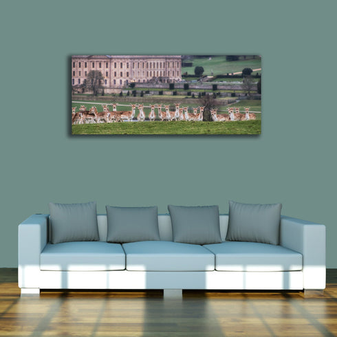 PANORAMIC - BUTTON NOSE TRIBE - 1.2m x 50cm